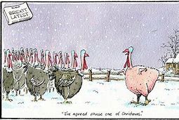 turkeys voting for christmas